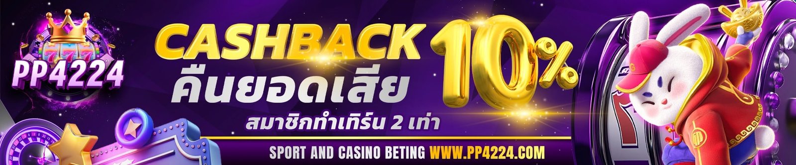 โปรโมชั่น PP4224